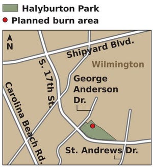 To help maintain the long leaf pine
forest, officials plan to burn 13
acres of Halyburton Park when
weather conditions are favorable
in January or February. (Source: City of Wilmington)