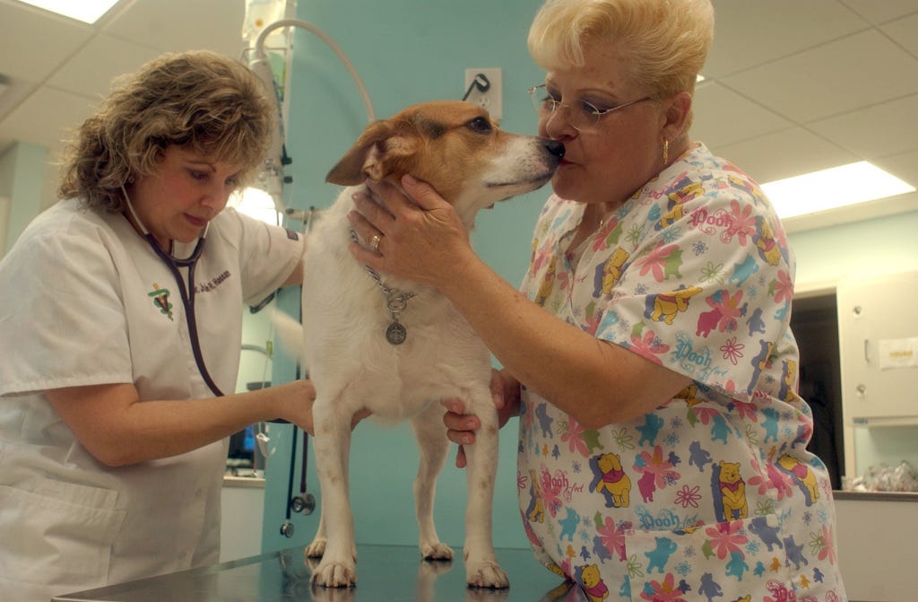 Veterinary Hospital wins 'Rising Star' award