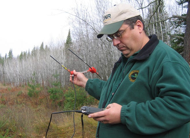 Brian Roell, wolf coordinator for the Michigan Department of Natural Resources holds an antenna that enables DNR scientists to track wolves that are fitted with radio collars, Oct. 21, 2008. He is standing in a forest in Dickinson County's Sagola Township, near the location where he and other DNR officials found a wolf that had been shot in November 2006.