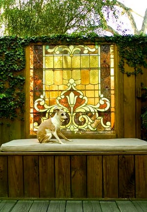 Chuck Corcoran's dog, Bippy, sits beneath a stained-glass window on Corcoran's deck.
