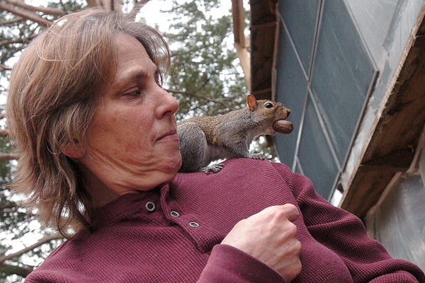 Beth Havener with the Wildlife Rehabilitation & Resource Center in Currie feeds a pecan to one of the squirrels she has helped recover from an injury Wednesday.