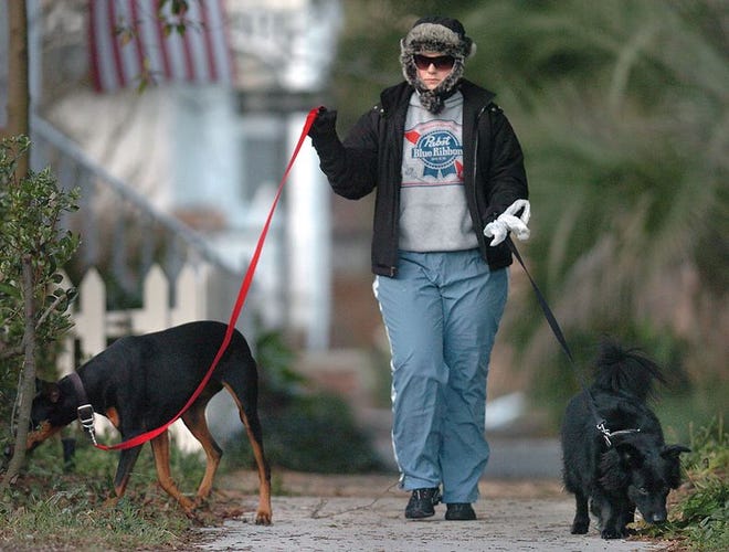Chrissi Cottingham walks her dogs up Dock Street in Wilmington on Thursday morning.