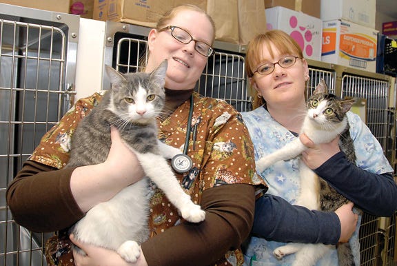 Dr. Nicole Sheimo, left, and Kelly Haas from the Kelly Veterinary Clinic in Madison Township hold two young cats found abandoned on Fairfield Road near Sand Creek last weekend.