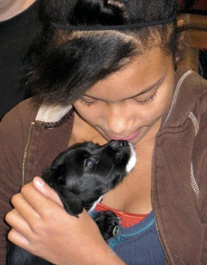 PHOTO PROVIDED 
Aly Hendricks gets some puppy kisses from a Stark County Humane Society puppy.