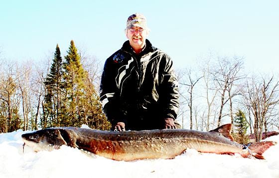 The second sturgeon was speared by Gil Archambo of Cheboygan on Sunday, the second day of the season. The fish was another untagged female, who was 64.5 inches long and weighed 66 pounds.