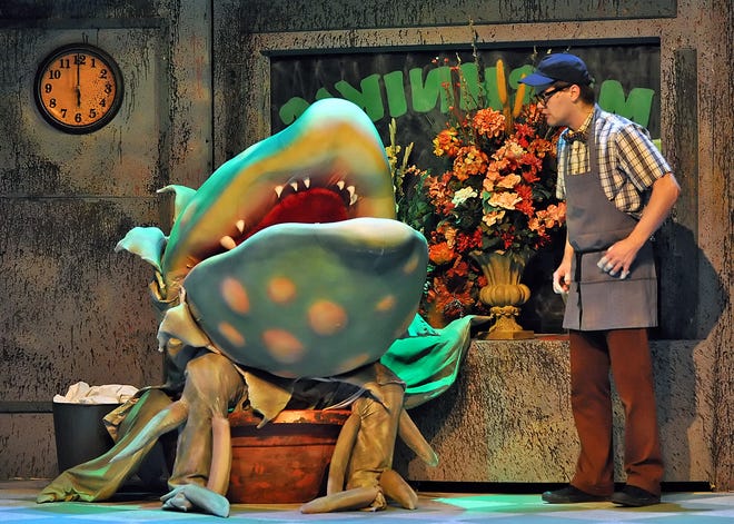 Audrey II (voiced by David A. Scroggins), an alien plant with a taste for human flesh, sings "Feed Me (Git It)" to hapless floral shop clerk Seymour (Greg Myer) in Topeka Civic Theatre & Academy's production of "Little Shop of Horrors."