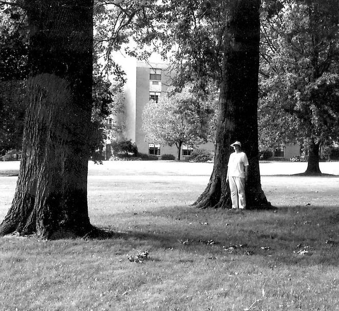 Ann Papadopulos is dwarfed by some of the oak trees on property owned by the city parks department at 25th Street and Cleveland Avenue NW.