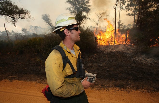 Paul Varnedoe, an engine captain with the U.S. Forest Service, keeps an eye on a back fire in the Ocala National Forest Friday.
