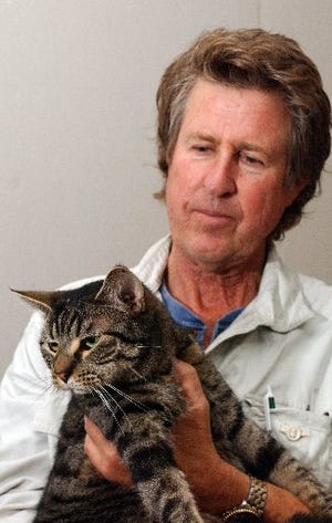 TERRY DICKSON/The Times-UnionZeke the cat with Roger Sales, a volunteer with Cats Angels Inc. Society for the Prevention of Cruelty to Animals, a Fernandina Beach-based nonprofit.