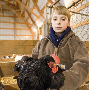 John DeSutter, an 11-year-old entrepeneur from rural Woodhull, shows off his prize-winning show rooster in the barn of his family's farm. The young chicken farmer sells the eggs his chickens lay.