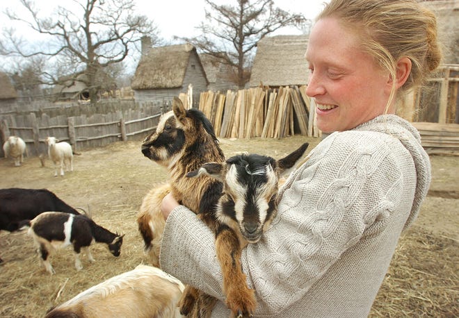 Shelly Otis, of Plymouth, holds two 6-week-old goats. She portrays Martha Brown at Plimoth Plantation during open season, but works with the animals year round. Plimoth Plantation will open for the season Saturday, March 21, at 10 a.m. with an animal parade.