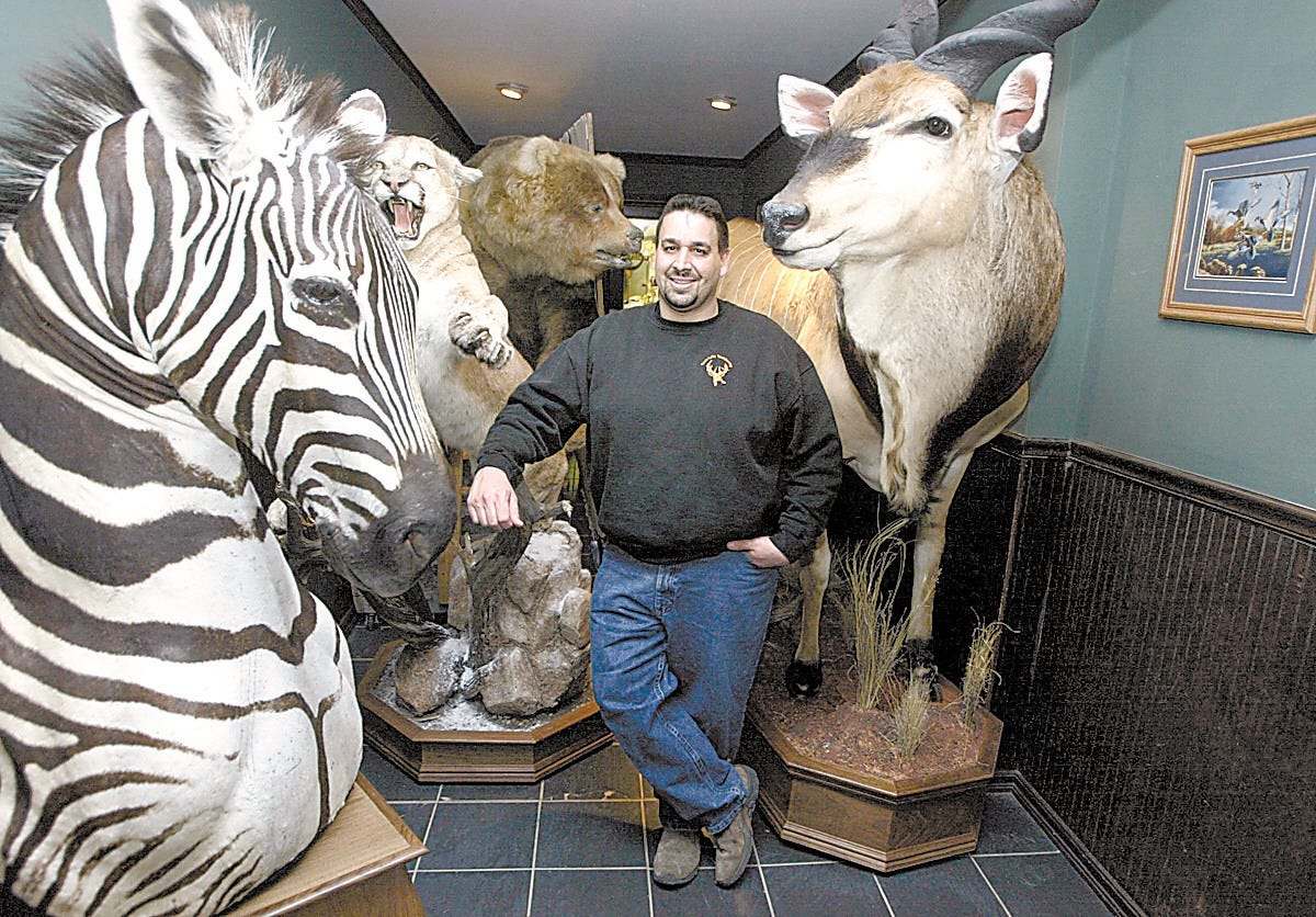 Middletown taxidermy studio is biggest in the East Middletown taxidermy studio is biggest in the East