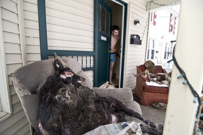 This photo provided by The Collegian shows Hillsdale College senior Rob Ogden peering out of his off-campus house to see his front porch littered with dead animal carcasses Monday, April 6, 2009 in Hillsdale, Mich.