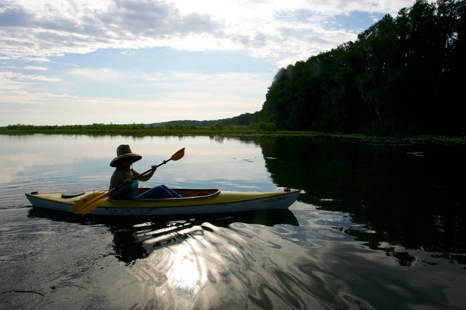 Lauren Day enjoys a morning kayak trip down the newly designated Potano Paddle Trail at Newnan's Lake on Friday.
