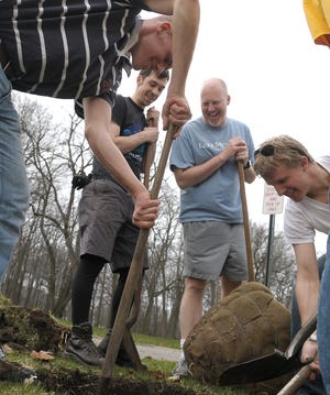 From left, Robb Veltema, Stephen Slachta, Todd Johnson, Tim LaDuke, and Ben Nelssen plant trees on 24th Street Saturday morning in honor of Earth Day. The four were part of a larger group of people who spent the morning cleaning up the area around the Columbia avenue art district.