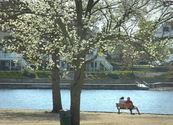 More summer weather Monday had folks outside enjoying the mild temperatures at Sunset Lake in Braintree. A couple at water’s edge are framed by a flowering tree.