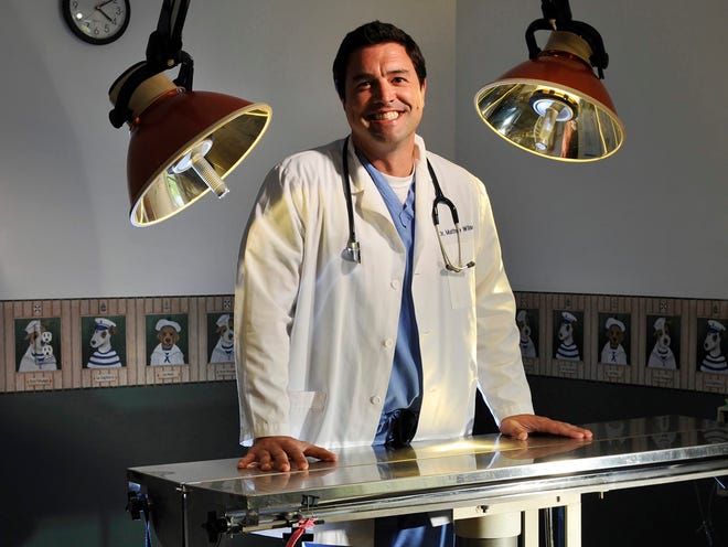 Jacksonville vet using stem cells to treat dogs Jacksonville vet using stem cells to treat dogs