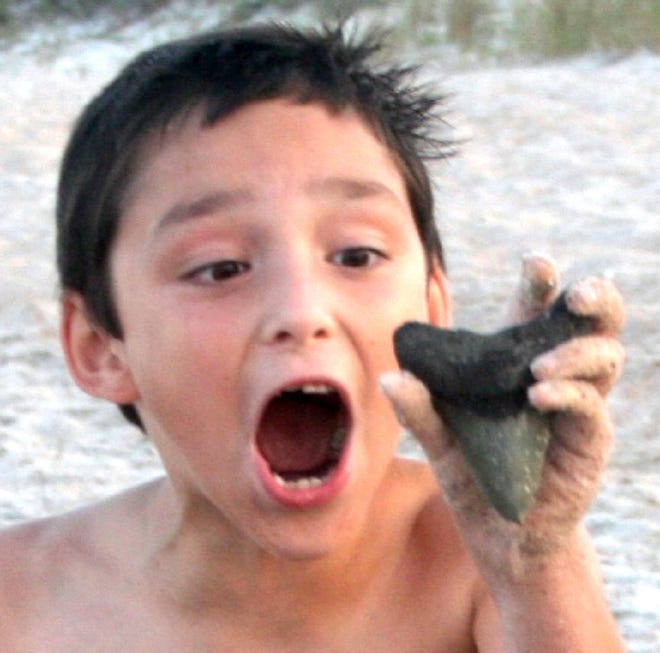 Provided by Julia MontezAdam Montez reacts to finding a 4-inch prehistoric Megalodon shark tooth at Mickler's Landing in Ponte Vedra Beach. His mom said it "was a great day for my son!"