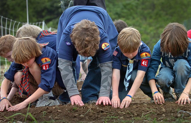 Members of Hingham Cub Scout Webelos Pack 41 cover sunflower seeds with soil in the community garden at Weir River Farm. The Trustees of the Reservations hope the garden will be a place for community-supported agriculture.