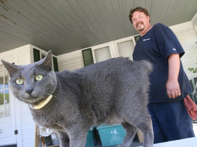 Joe Dears with his cat, Winky, outside of his Brockton home on Monday. Winky lost his tail when he was caught in an illegal trap.