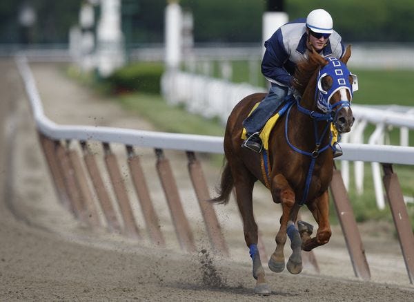 Belmont hopeful Summer Bird works out at Belmont Park in Elmont, N.Y., Wednesday. The 141st running of the Belmont Stakes is on Saturday.