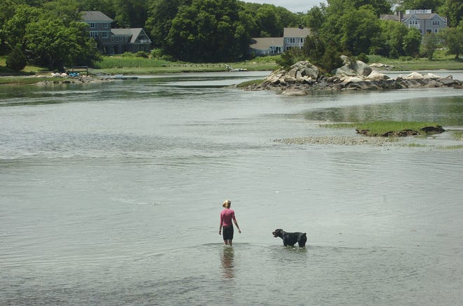 Cooling off in Cohasset’s Little Harbor are Amber Silvia, 15, and her dog, Brutus.
