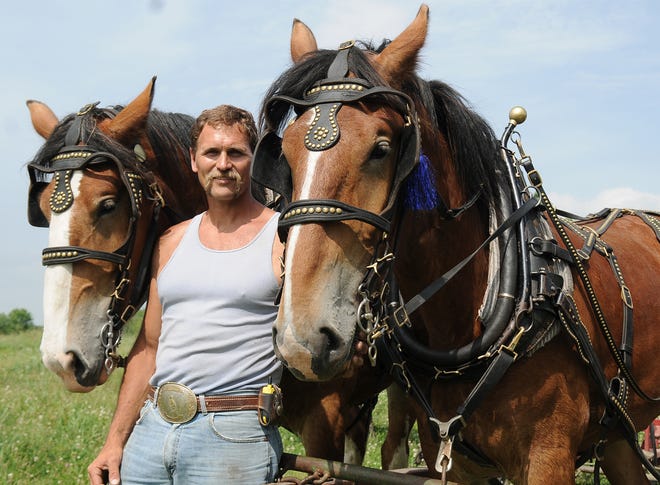 David Smallegan will run a carriage ride service in downtown Holland in two weeks with his two Clydesdales, Booker, right, and Buckshot, left.