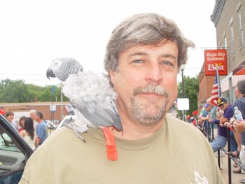 Harold, an African gray parrot, rides on the shoulder of Charlie Davis in downtown Colon Saturday.