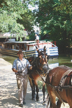 Mules pull The Georgetown, modeled after original canal freighters and loaded with passengers, down the Chesapeake and Ohio Canal near Washington, D.C.
