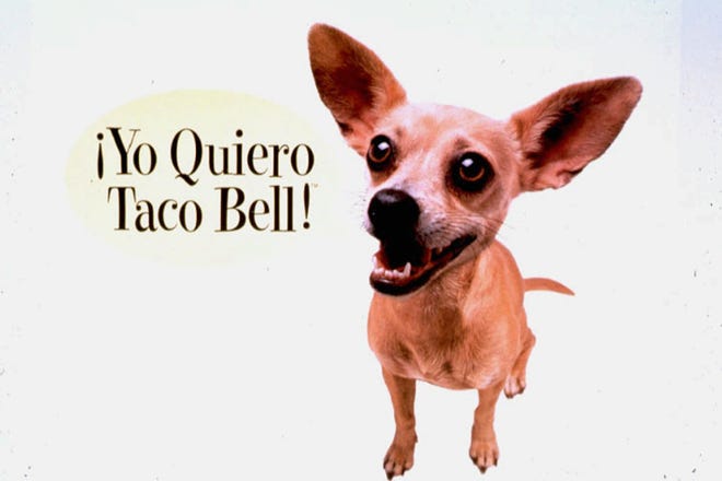 This undated picture provided by Taco Bell shows part of a Taco Bell advertisement featuring a Chihuahua professing his love for tacos. Handlers say Gidget the Chihuahua, whose Taco Bell commercials made her a star, has died. She was 15. The owner of Studio Animal Services in Castaic says Gidget suffered a massive stroke late Tuesday, July 21, 2009, at her trainer's home in Santa Clarita, Calif., and had to be euthanized.