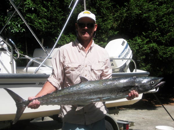 Here's a 33 pound king caught by Rick Wofford of Wilmington. He was free lining live bait when the whopper king hit.