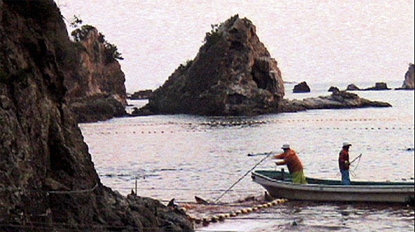 A scene from The Cove, which shot covert footage of fishermen in Taiji, Japan, killing dolphins with spears
