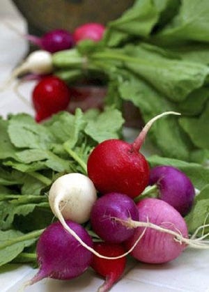 This July 1, 2004 file photo shows radishes in a variety of colors, including red, purple, pink and white in Concord, N.H. Vegetable gardening is not a dark science, nor the stuff of incantations and secretive weeding on moonless nights. But it does take a little planning.