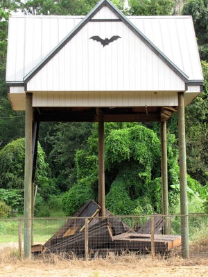 The University of Florida's bat house partially collapsed Sunday evening.