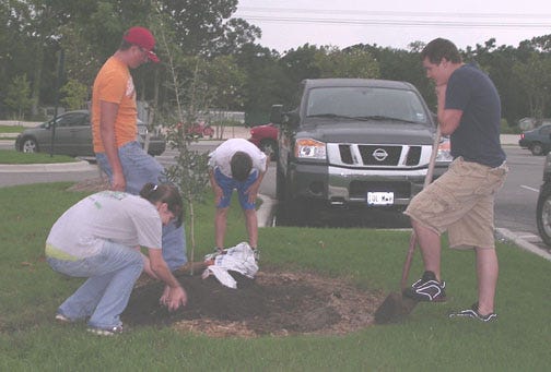 Rebecka Brignac, from left, Brett Brown, Bobby Brignac and Charles Brignac plant an oak tree.