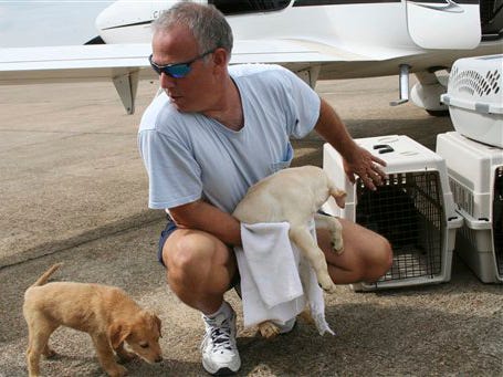 Jeff Bennett, a volunteer with Pilots N Paws, flies 14 unwanted dogs from a shelter in Montgomery, Ala., to rescue groups waiting in Tampa, Fla., on Sept. 3, 2009. The charity transports animals from euthanasia shelters to other states for adoption.