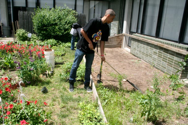 Calvin Barros rakes in the garden.