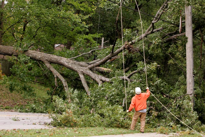 ComEd employee Wyane Leonard uses rope to secure electric lines Monday, Sept. 28, 2009, on Parkview Avenue after a large oak tree fell across the street and onto electric lines.