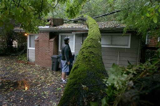 Tim Oxford looks at a fallen oak tree that landed on a home, Tuesday, Oct. 13, 2009, in Healdsburg, Calif. Heavy rains saturated leaves, not high winds, caused the tree to fall. The owners were not at home. Oxford, who called 911, was across the street remodeling a house when the tree fell.