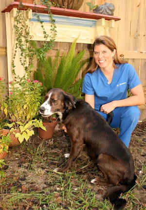 Prairieville veterinarian Dr. Amy Grayson, recently named to the Animal Welfare Commission by Gov. Bobby Jindal, relaxes with her dog L.B. “Left Behind.” L.B. is an abandoned dog adopted by Grayson.