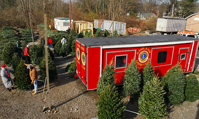 The Ashland Lions club began their annual Christmas tree sale this weekend next to the Sunoco gas station on Pond Street in Ashland.