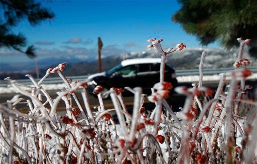 Ice forms on plants as a snow-covered SUV drives along Highway 330 near Big Bear Lake, Calif., Tuesday, Dec. 8, 2009.