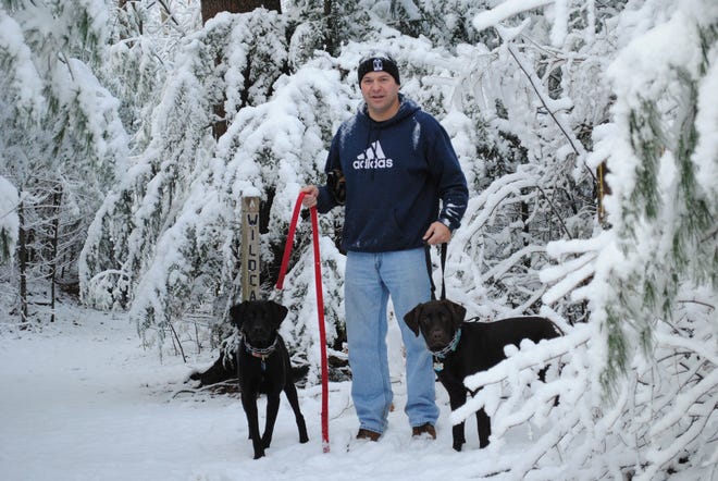 Mike Chapman takes his two Labrador Retrievers, Nolie and Dalton, for a walk in Willowdale.