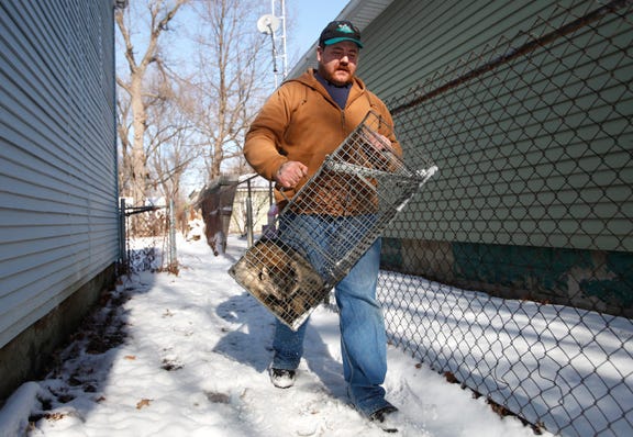 Licensed animal trapper Travis Pierceall carries a raccoon he caught in one of his five traps at a home on Calhoun Street.