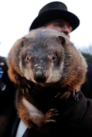 In this file from Feb. 2, 2009, John Griffiths, a handler of the weather-predicting groundhog Punxsutawney Phil, holds Phil after removing him from his stump at Gobbler's Knob on Groundhog Day, in Punxsutawney, Pa.. The state's tourism department says Phil will text his weather prediction to those who sign up to have texts sent to their mobile phones. (AP Photo/Carolyn Kaster)