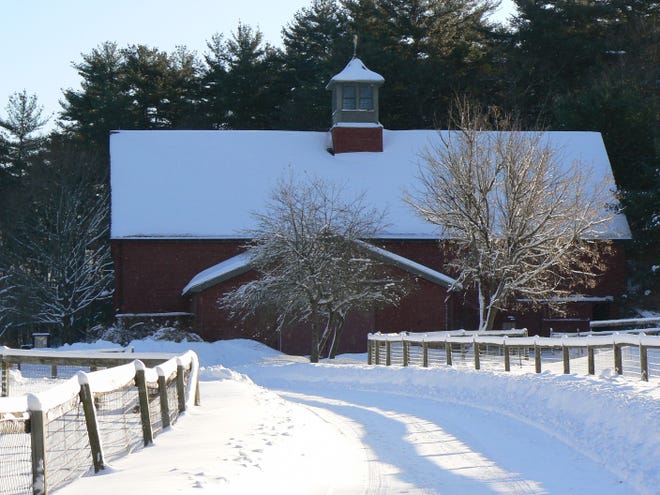 Drumlin Farm in Lincoln is hosting a Winter Fun Day on Monday, Jan. 18, 2010.