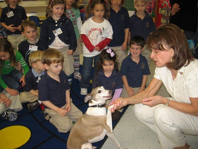 Provided by Chris SalibaCharlene Maroney shows her Italian greyhound, Buckley, to the children at Little Stars Preschool in Ponte Vedra Beach to teach them about pet therapy. Maroney also visits hospital patients with Buckley, who is trained to help people with disabilities and ailments.