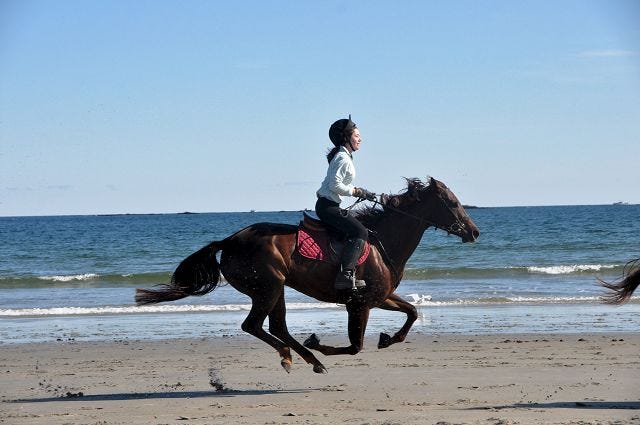 Courtesy photo
Dover's Dana Doucet enjoys a gallop down Hampton Beach on her quarter horse, Kate. Dana was joined by other riders from Green Acres Stables in Madbury on Columbus Day 2009.