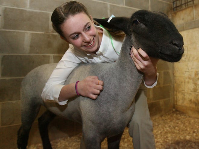 Michelle Mack, 13, hugs her Grand Champion lamb, Marvin, a black face lamb.