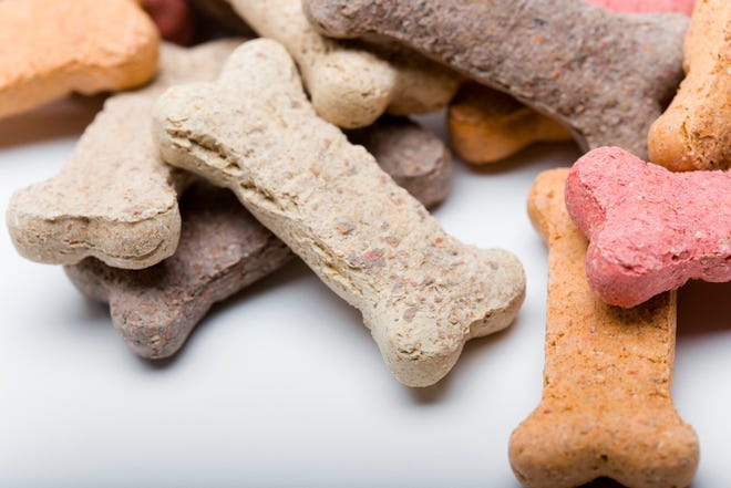 Dog biscuits: Make your own!